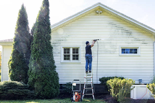 Best Driveway Cleaning and Restoration in Hope, IN